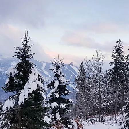 公寓 Apartmany Dolni Morava *