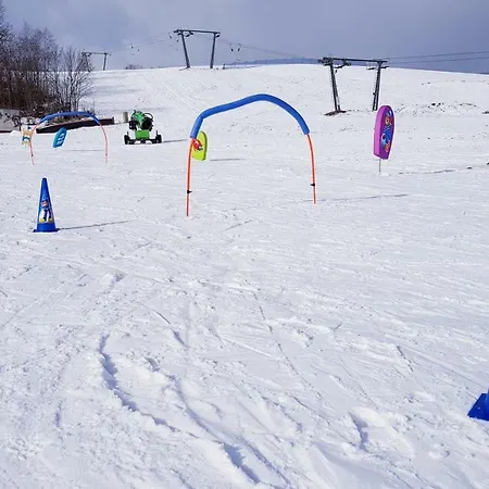 Apartmany Dolni Morava 公寓 *