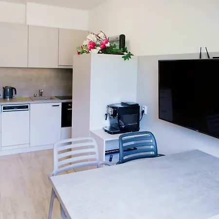 公寓 Apartmany Dolni Morava