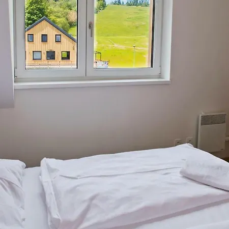 Apartmany Dolni Morava 公寓