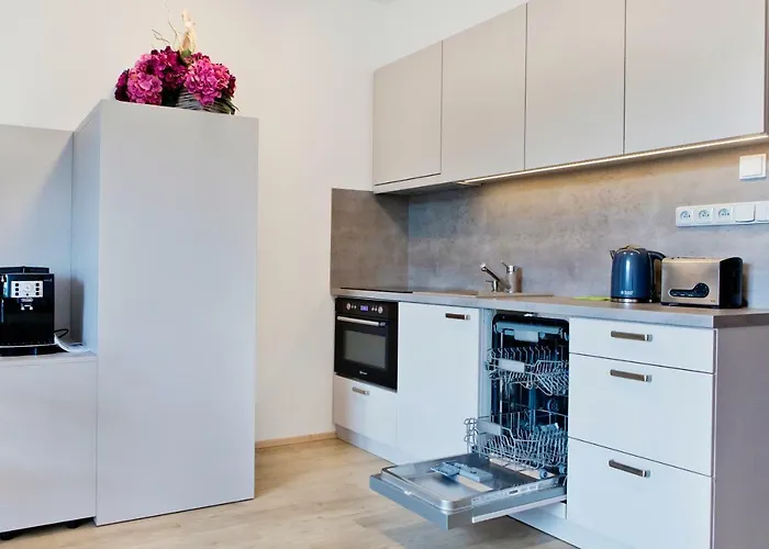 Apartmany Dolni Morava Appartement *